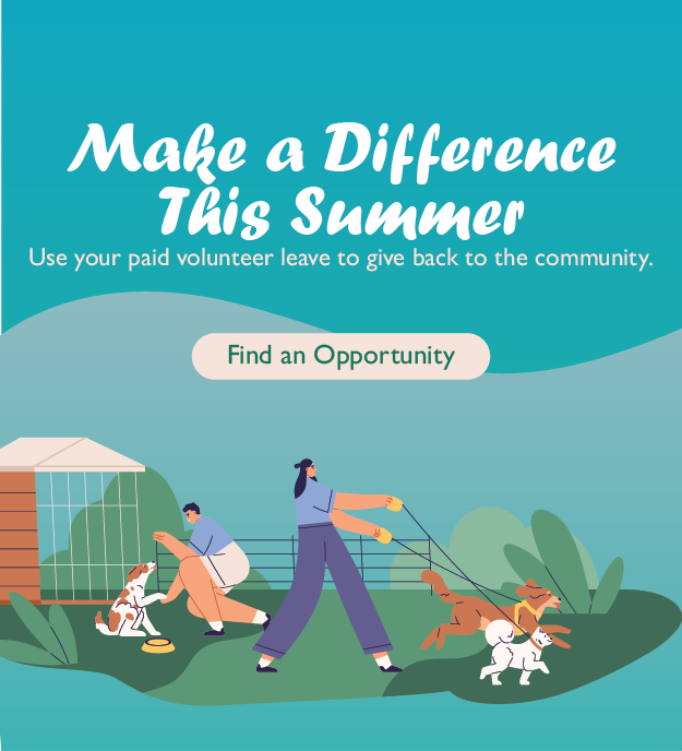 Volunteer Leave graphic image link