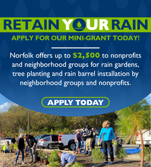 Retain Your Rain Spotlight Image Link