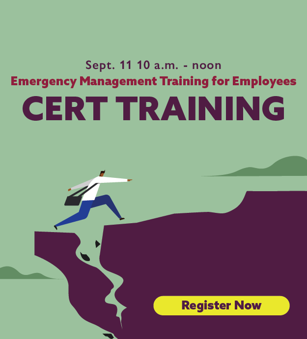 Incident Command System (ICS) Training Image Link