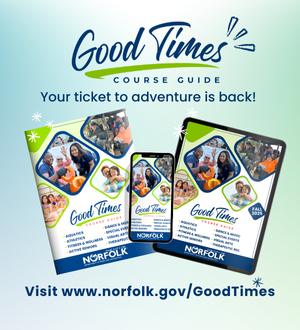 Good Times Guide Spotlight - Link