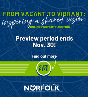 Vision Auction November Spotlight Image Link