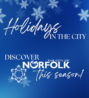 Holidays in the City Home Spotlight Image