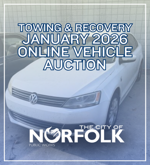 january 26 auction spotlight image link