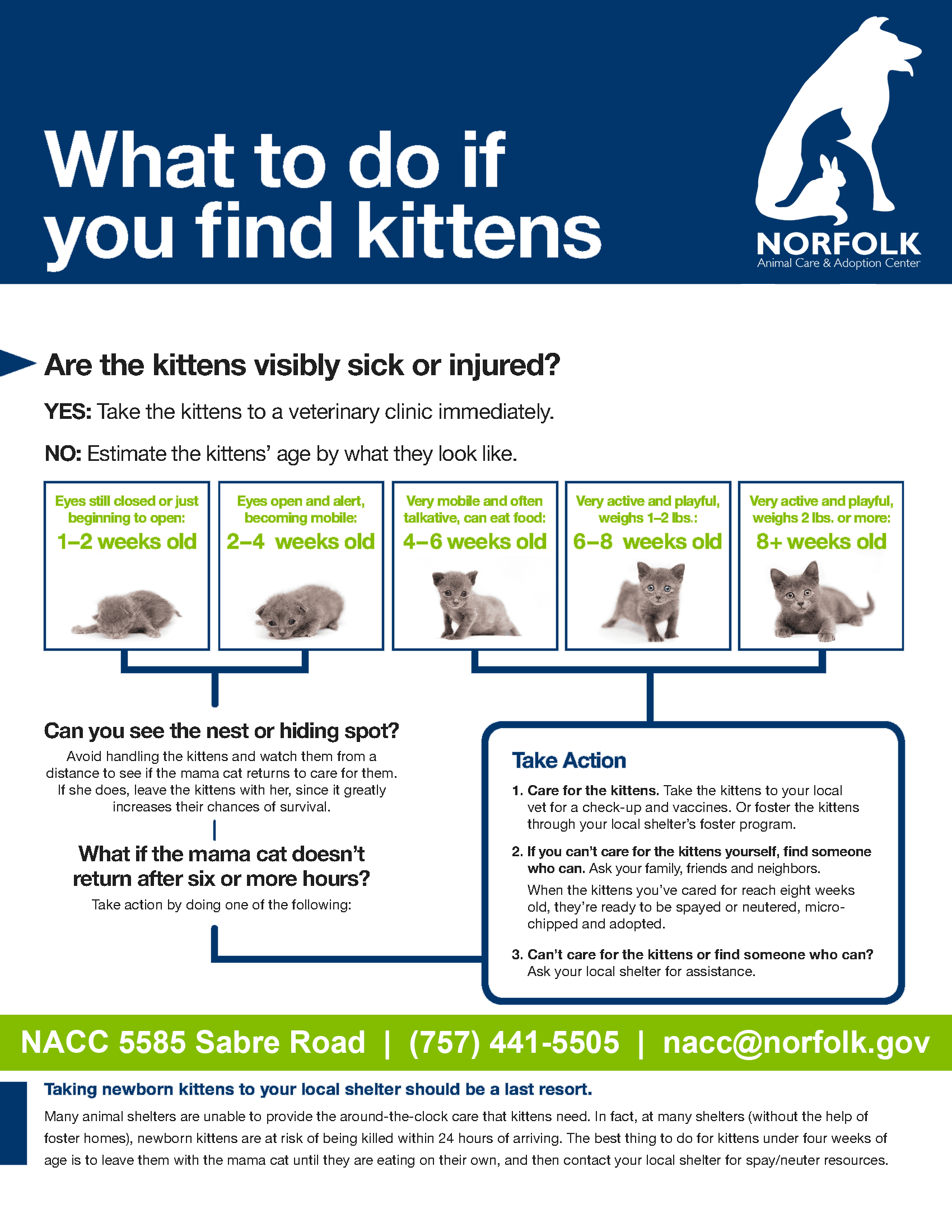 NACC What To Do If You Find Kittens (2020-03)