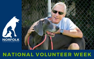 NACC 2021 National Volunteer Week Image Link