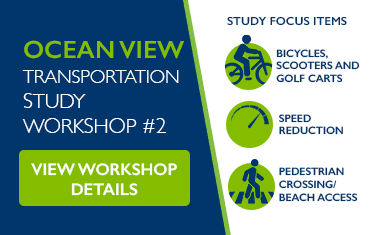 Ocean View Survey Image Link