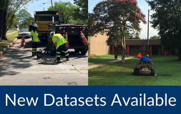 New Datasets Image Link