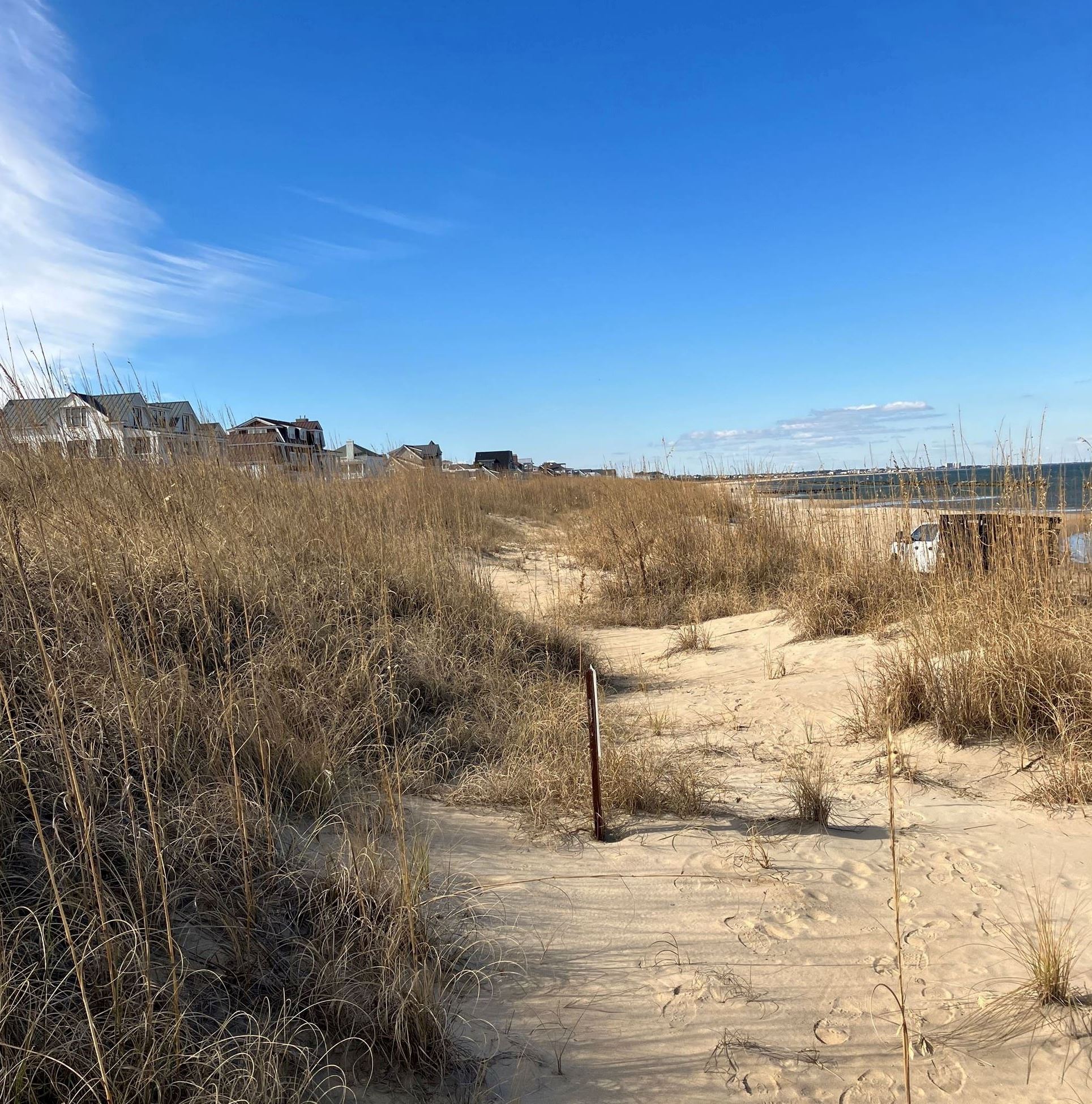 East Ocean View Beach Annual Dune Survey 2022