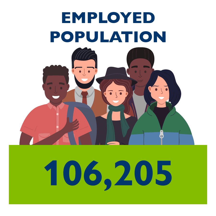 Employed Population Image