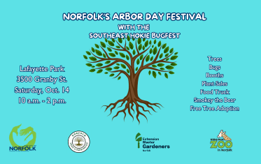 Norfolk Arbor Day Festival
