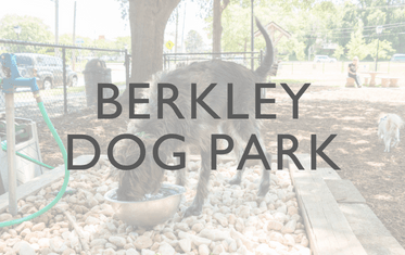 Berkley Dog Park Image Link