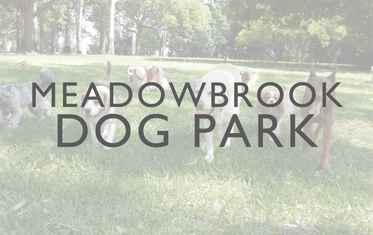 Meadowbrook Dog Park Image Link 