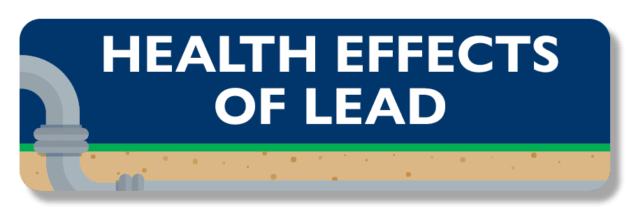 Health Effects of Lead Image Link