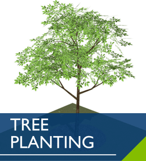 Tree Planting Image Link