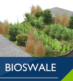 Bioswale Image Link
