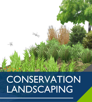 Conservation Landscaping Image Link
