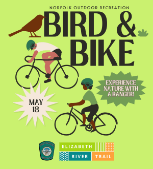 Bird Bike_Web Spotlight