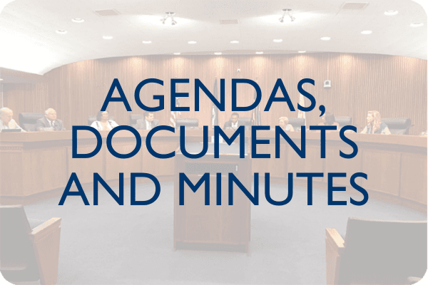 Agendas, Documents and Minutes Image Link