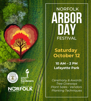 Norfolk Arbor Day Festival_Web Spotlight