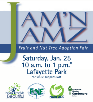 thumbnail_jamn jamz spotlight