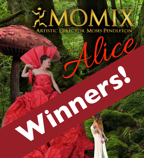 ALICE Raffle Winners