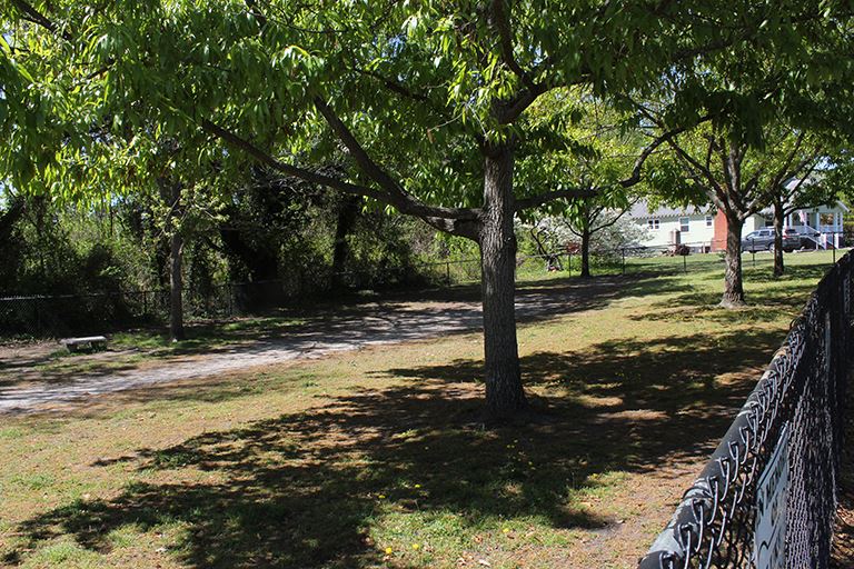 Tait Terrace Dog Park1 Image