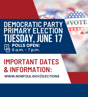 2025 primary election spotlight image link