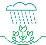 Rain Garden icon