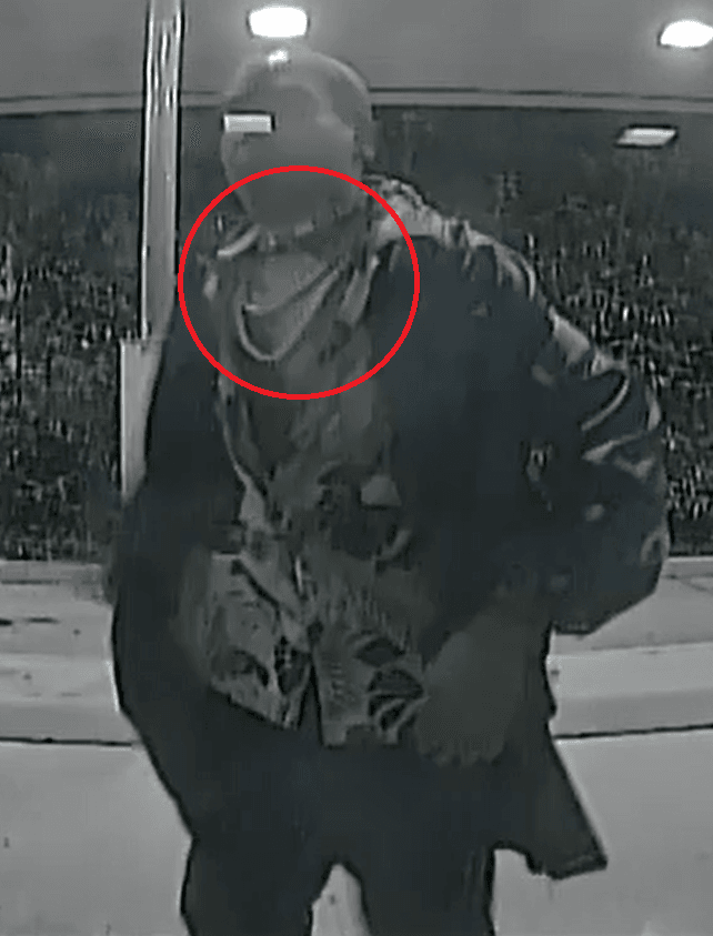 Vandalism Suspect 2 (Cropped)