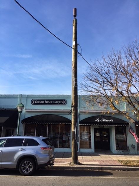 Colley1 Opens in new window