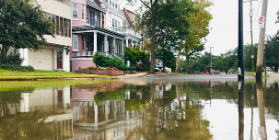 Flooding landing page_protect