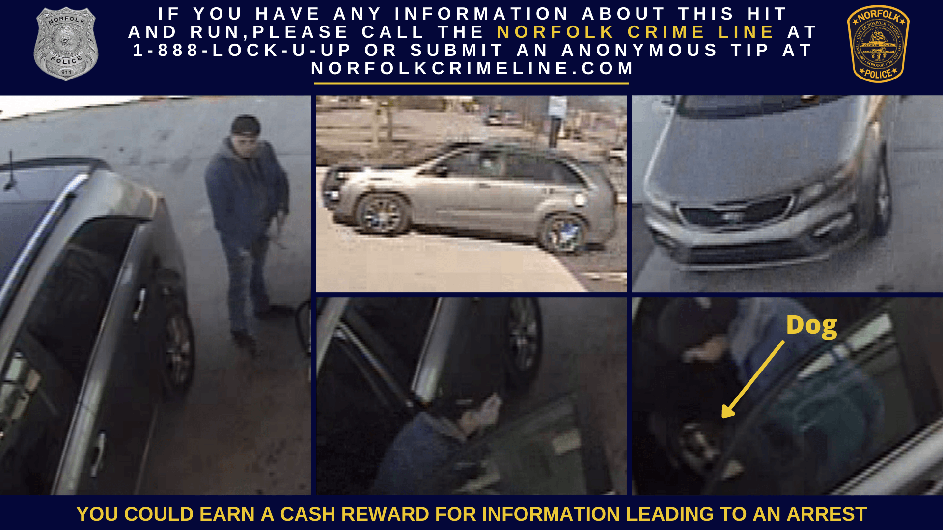 Hit and Run Suspect Photo