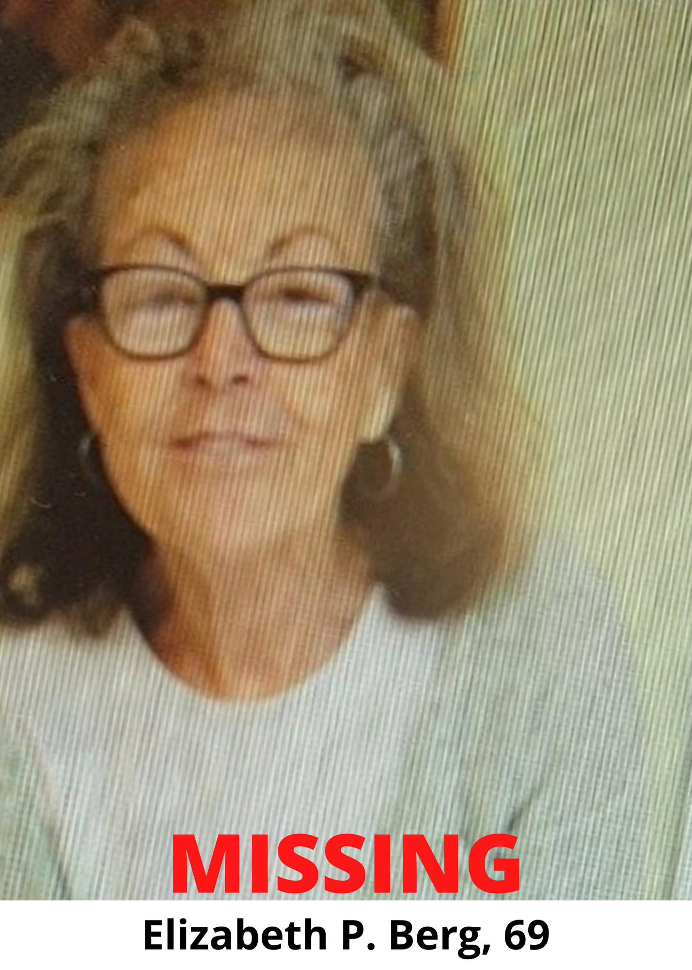 Missing - Elizabeth P Berg