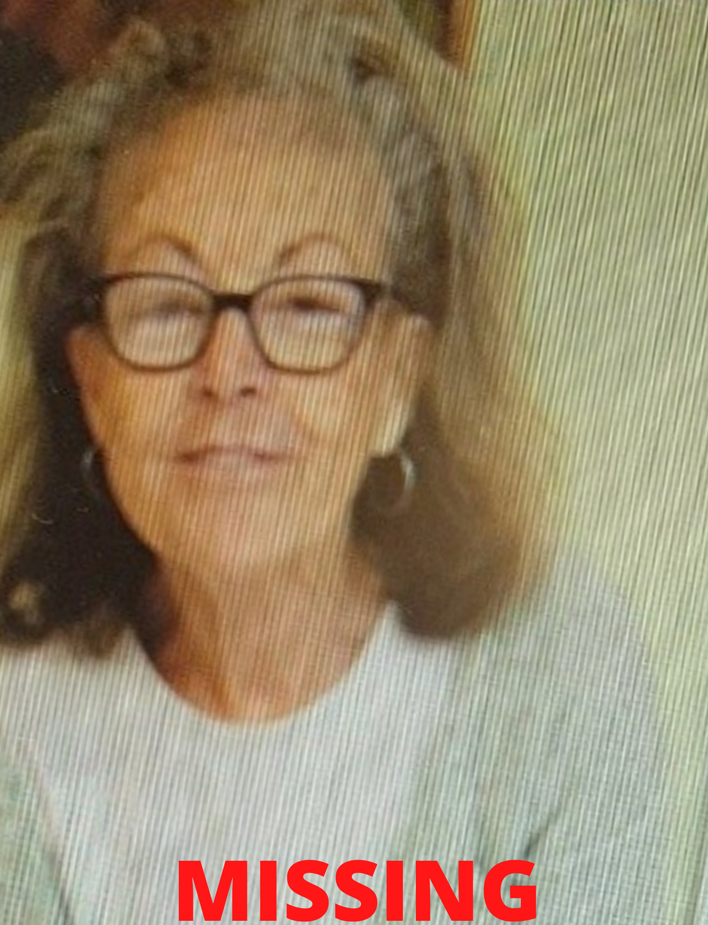 Missing - Elizabeth P Berg