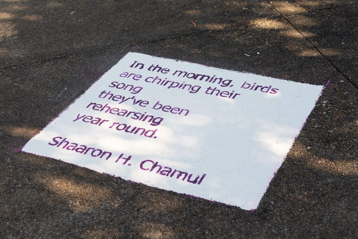 Poetry on the Pavement Image