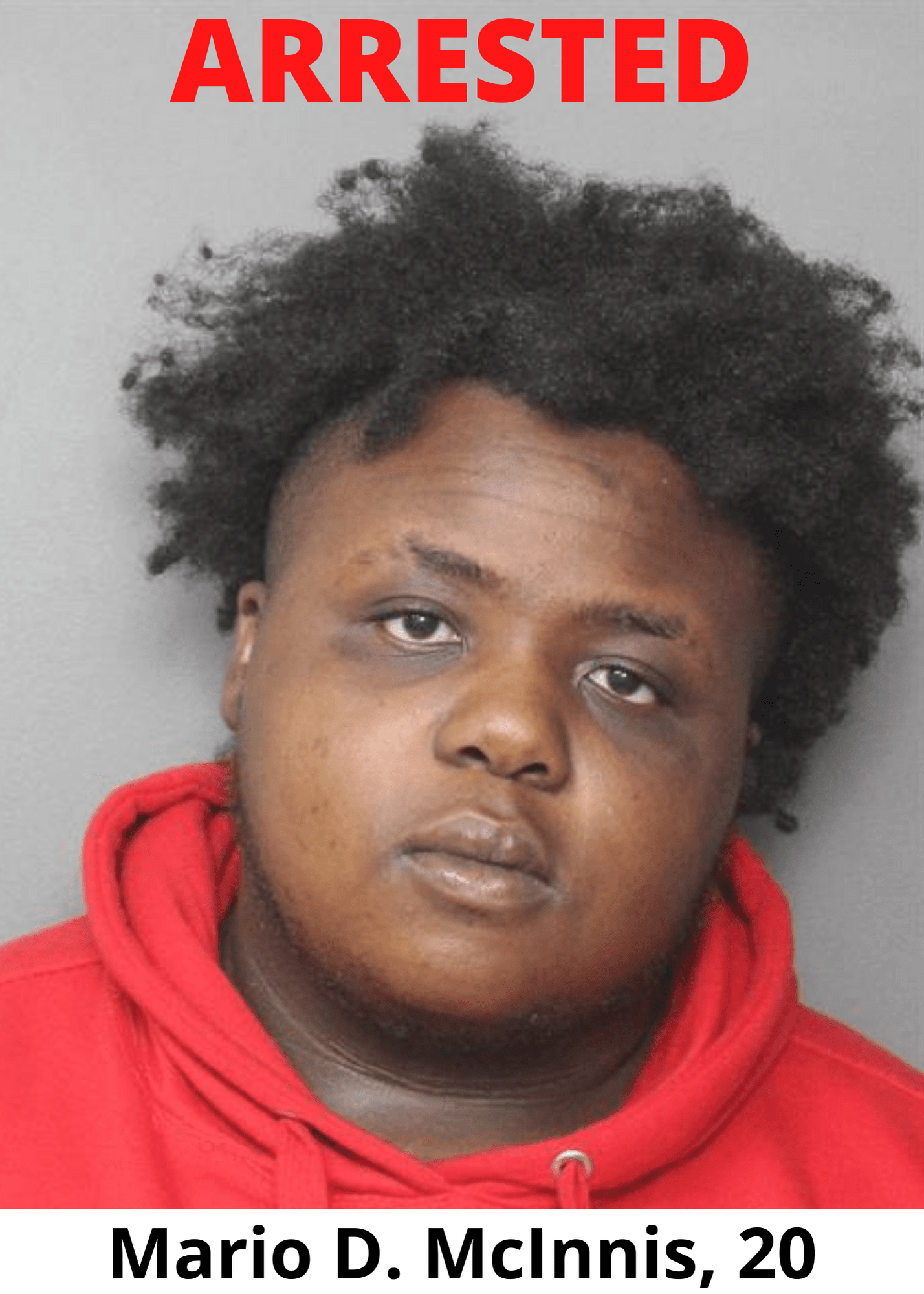 Booking Photo - Mario D. Mcinnis