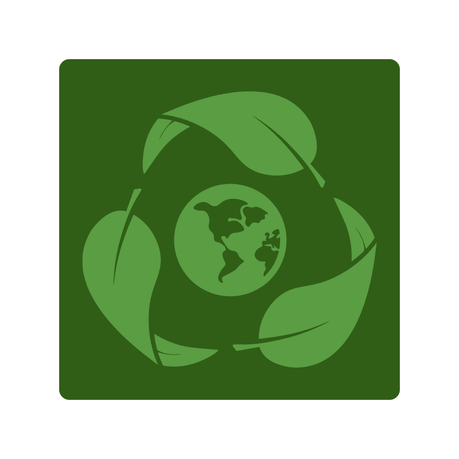 Plant Based Diet Image