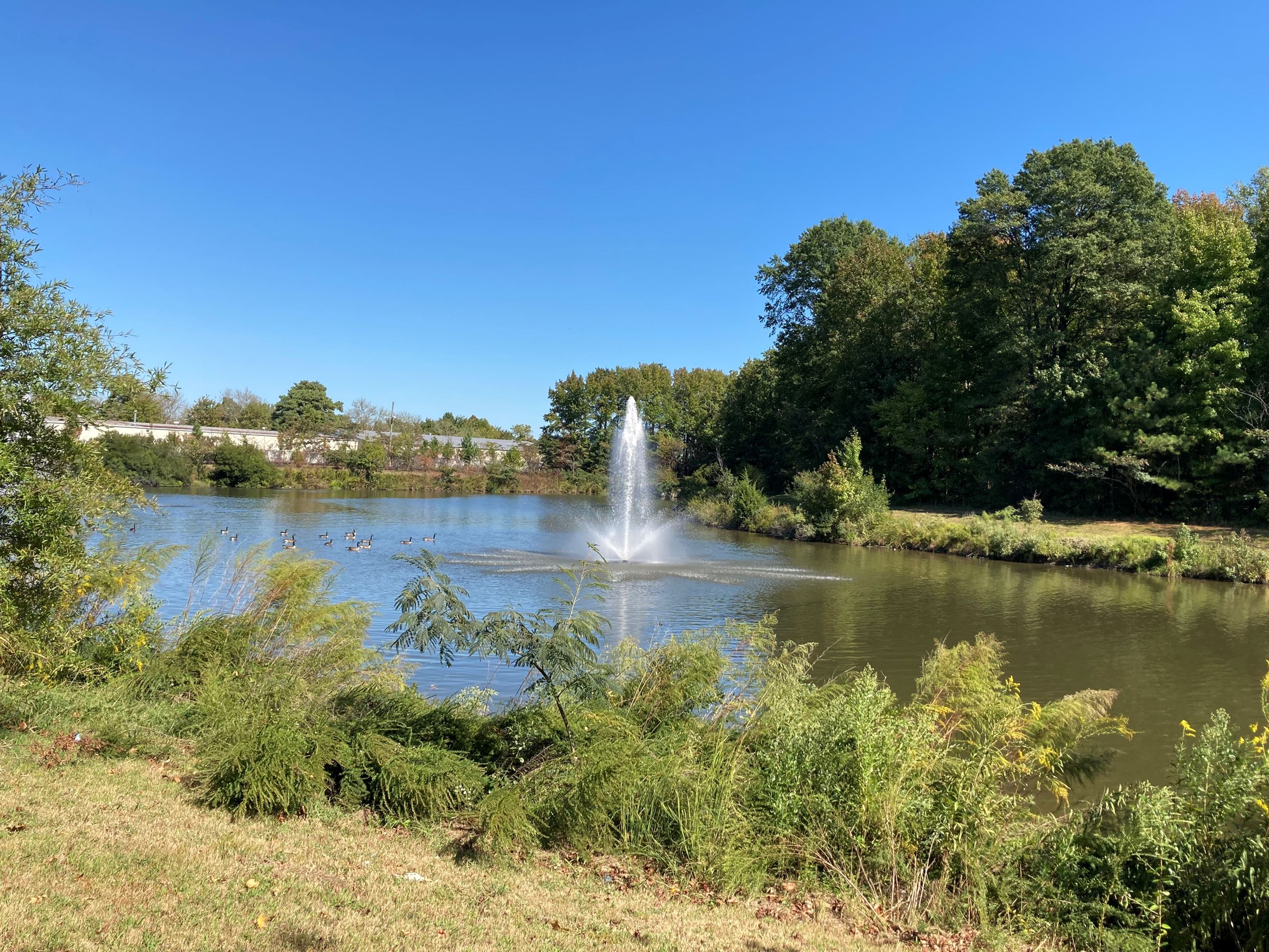 Picture of Stormwater Wet Pond