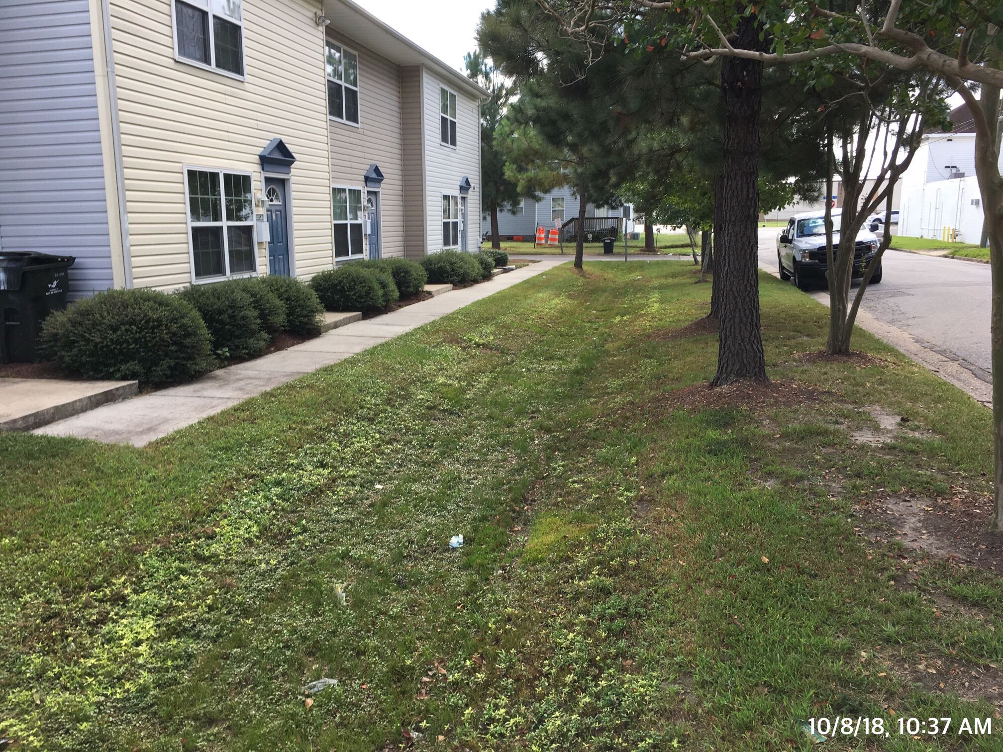 Picture of Grass Channel for stormwater