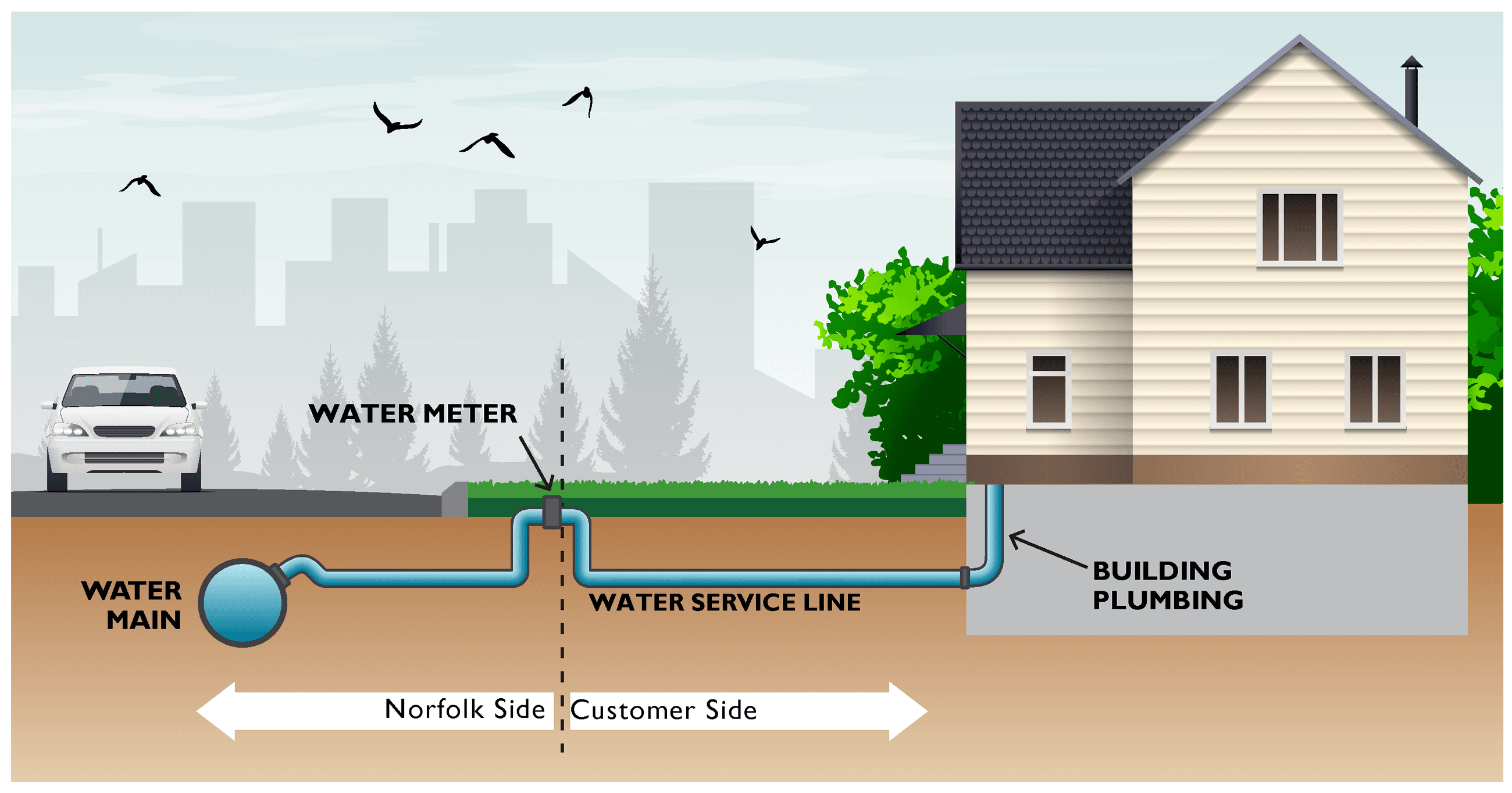 Detailed Who Owns Image