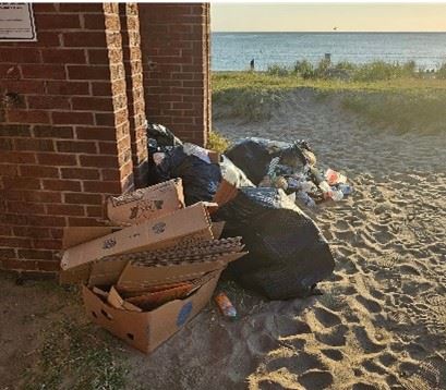 Overflowing trash picture