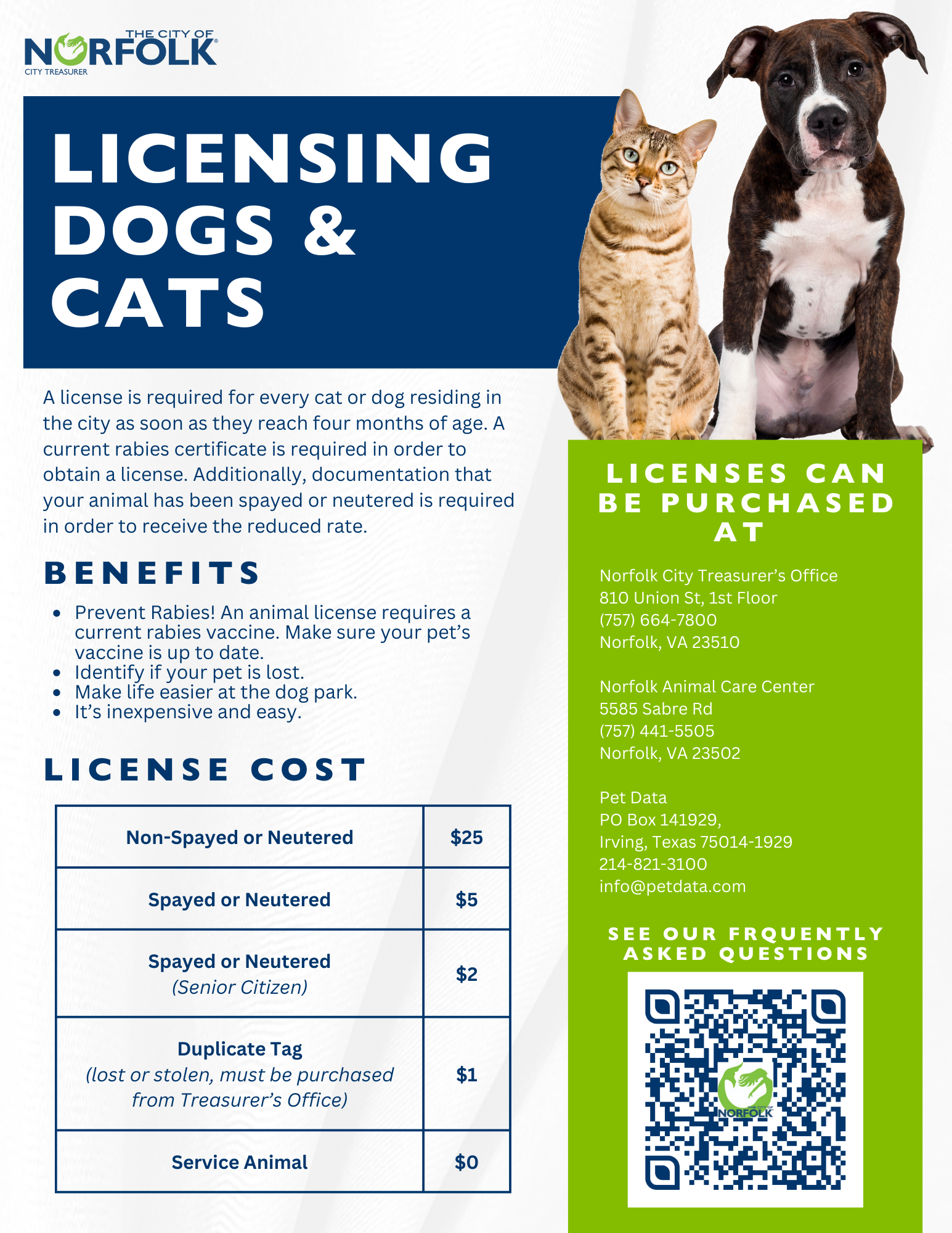 Licensing Dogs and Cats Flyer image link