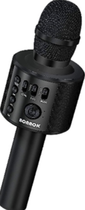 Karaoke Microphone