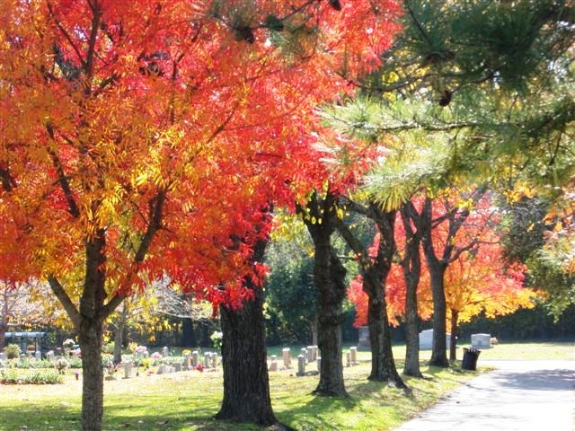 Forest Lawn Cemetery
